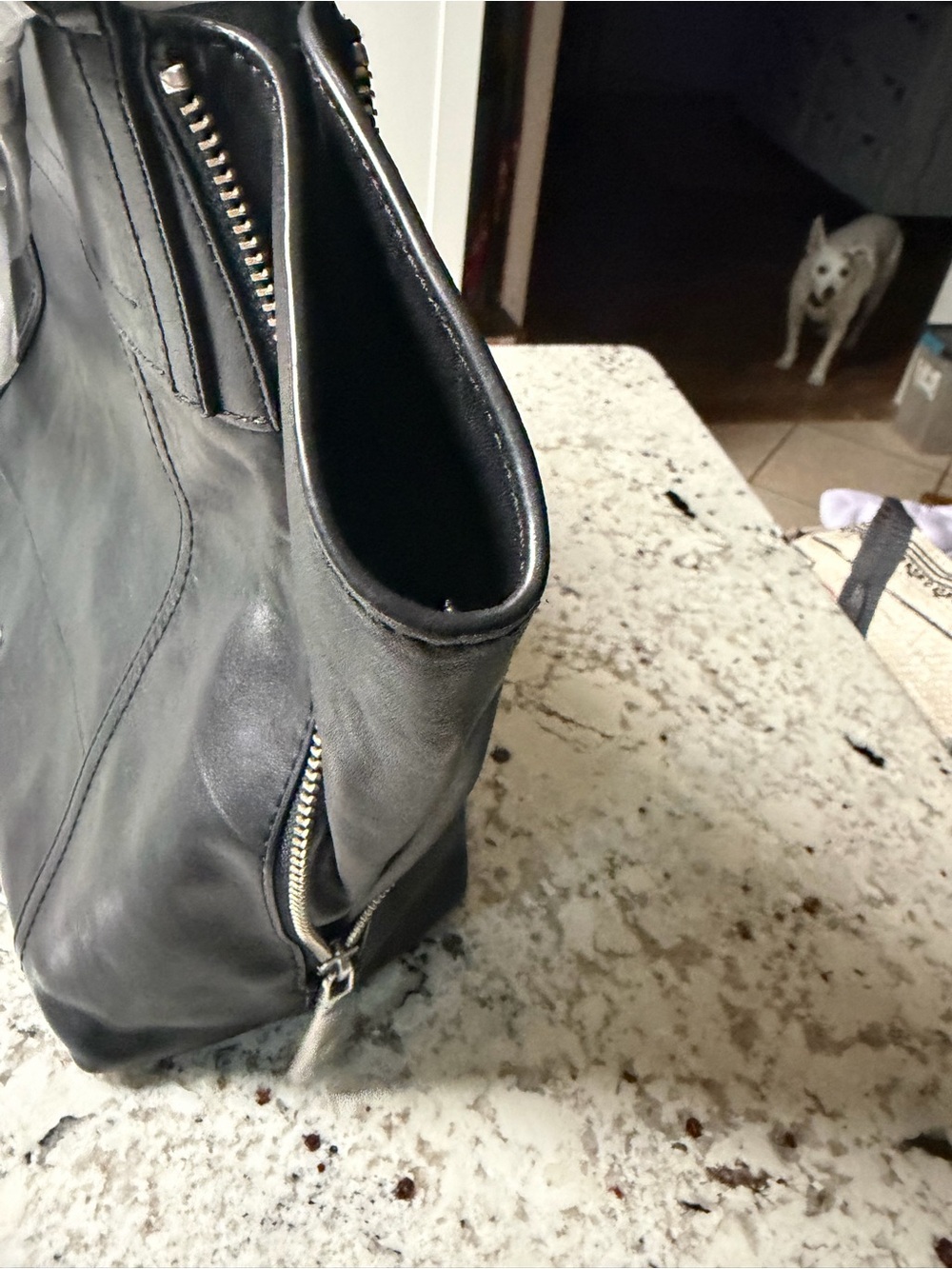 Frye Lena Black Leather Zip-Front Shoulder Bag - Picture 13 of 14